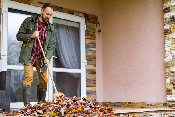 Best Same-Day Junk Removal  in Cobb Island, MD
